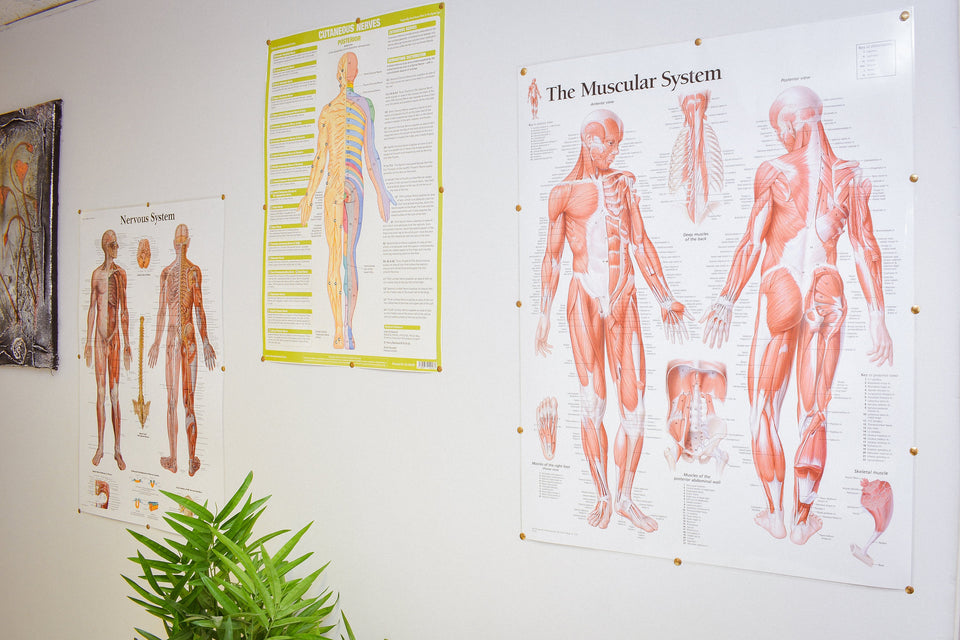 The Benefits of Physiotherapy for Injury Recovery
